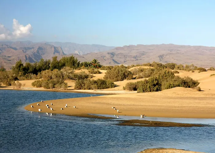 리조트 Vistaflor 3*