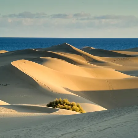 Vistaflor Semesteranläggning (resort)